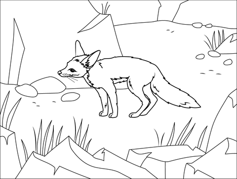 Pale Fox Coloring Page